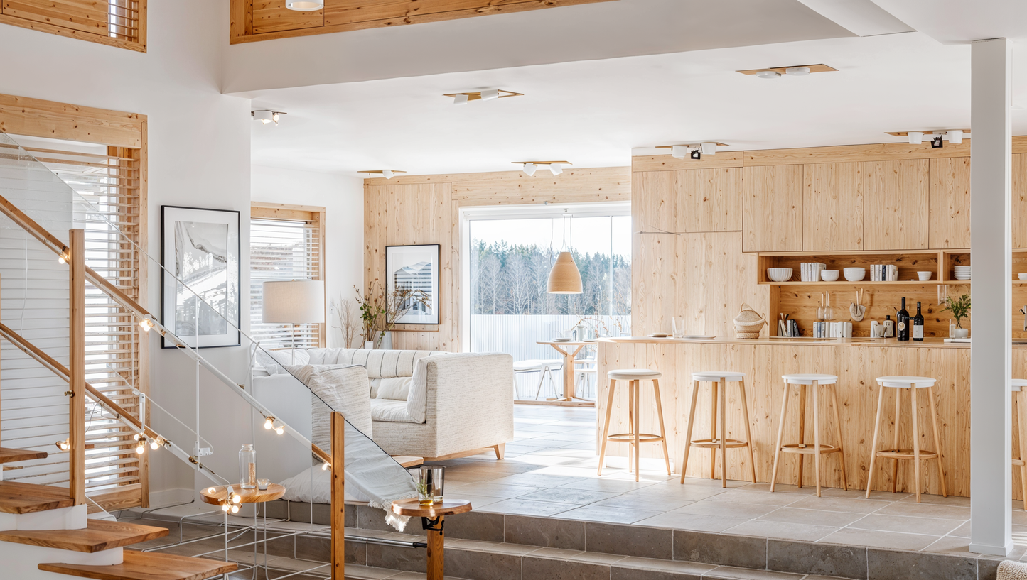 Visualisation of scandinavian kitchen IN00802